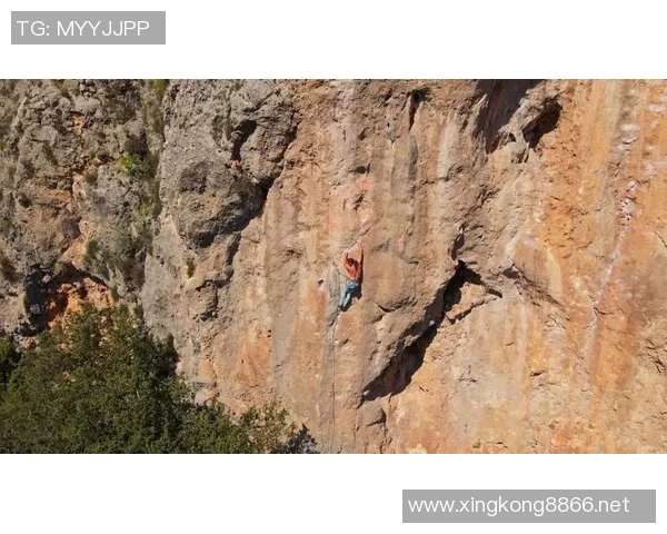 实时新闻攀岩深度探索上海攀岩队如何应对挑战与防反策略揭秘