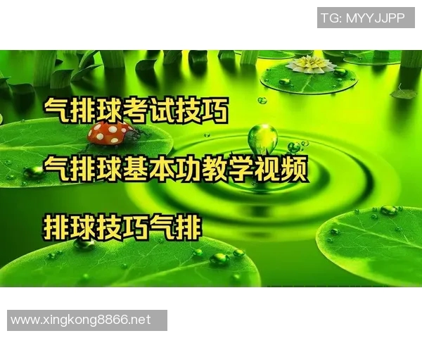 2026年3月份新闻从零开始掌握排球技巧与策略全解析助你成为排球高手